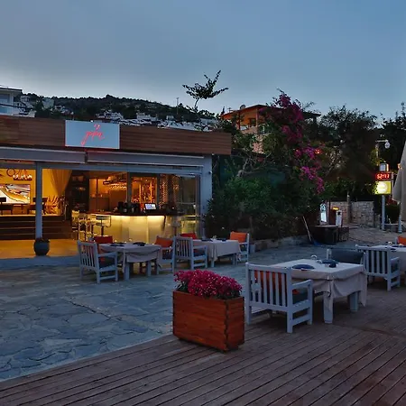 Hotel Galen House 3*