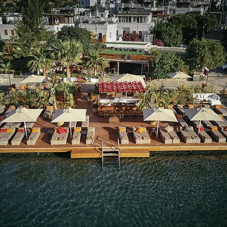 Hotel Galen House 3*