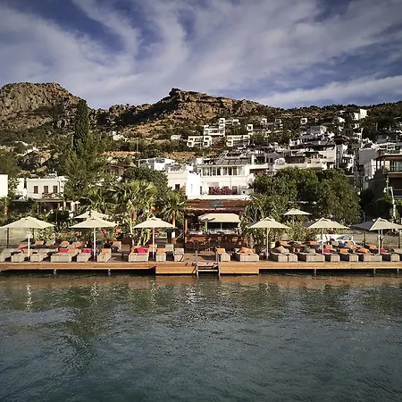 Galen House 3*