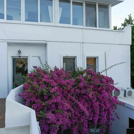 Galen House فندق