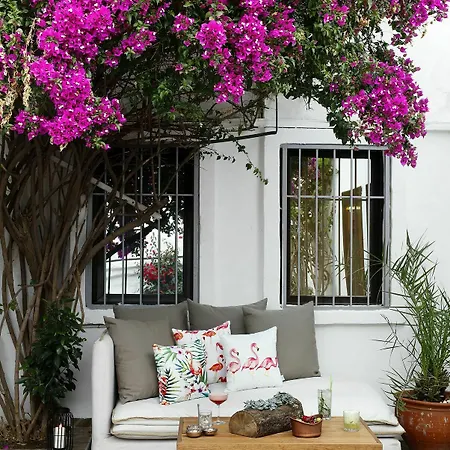 Galen House غولتوركبوكو
