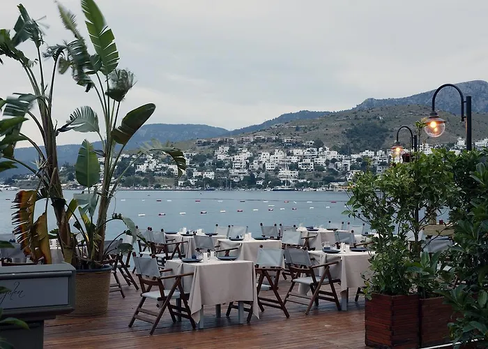 Galen House גולטורקבוקו